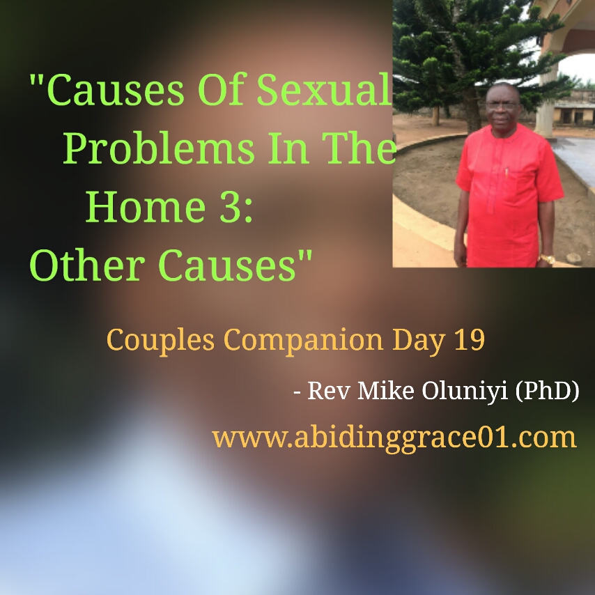 CAUSES OF SEXUAL PROBLEMS IN THE HOME(3): OTHER CAUSES: Couples Companion Day 19