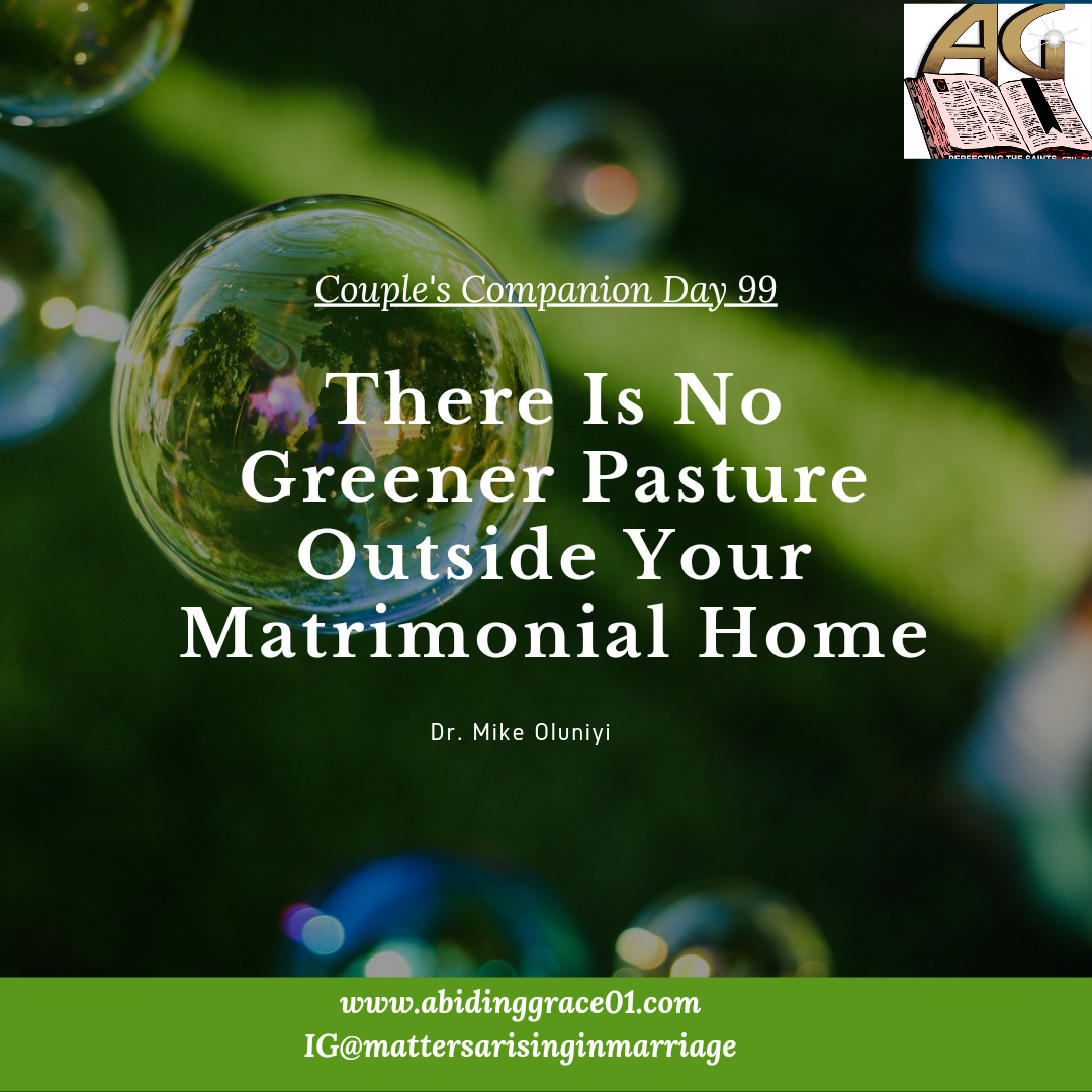 There Is No Greener Pasture Outside Your Matrimonial Home: Couple’s Companion Day 99